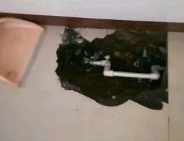 天门卫生间测漏水多少钱